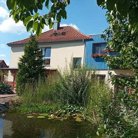 Ferienwohnung Toelle Bad Rehburg Exteriér fotografie